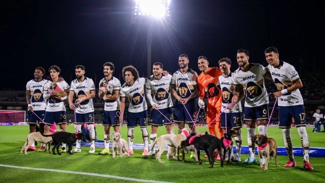 ¿Qué necesita Pumas para conseguir su pase al Play-In del Apertura 2025?