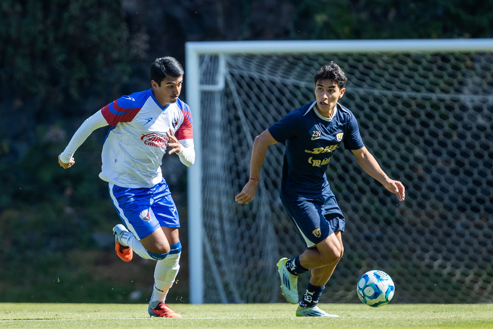 ¿Mal augurio? La complicada pretemporada de Pumas rumbo al Clausura 2026