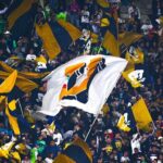 Pumas manchado por la violencia, ¿Reflejo de la sociedad o prejuicios?